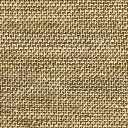 Orithyia | Kenaf 040