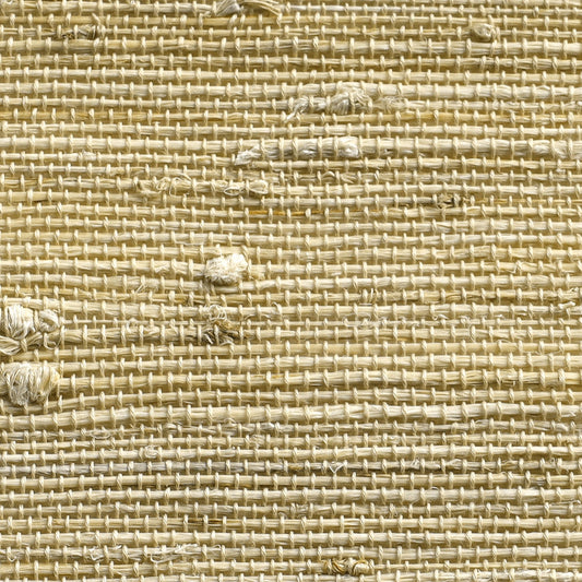 Orithyia | Ramie 390