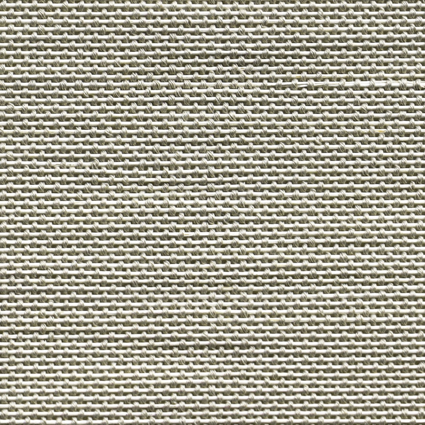 Orithyia | Bamboo 721