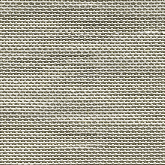 Orithyia | Bamboo 721