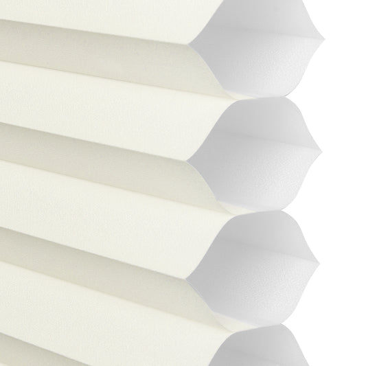 ASBURY PARK | French Vanilla