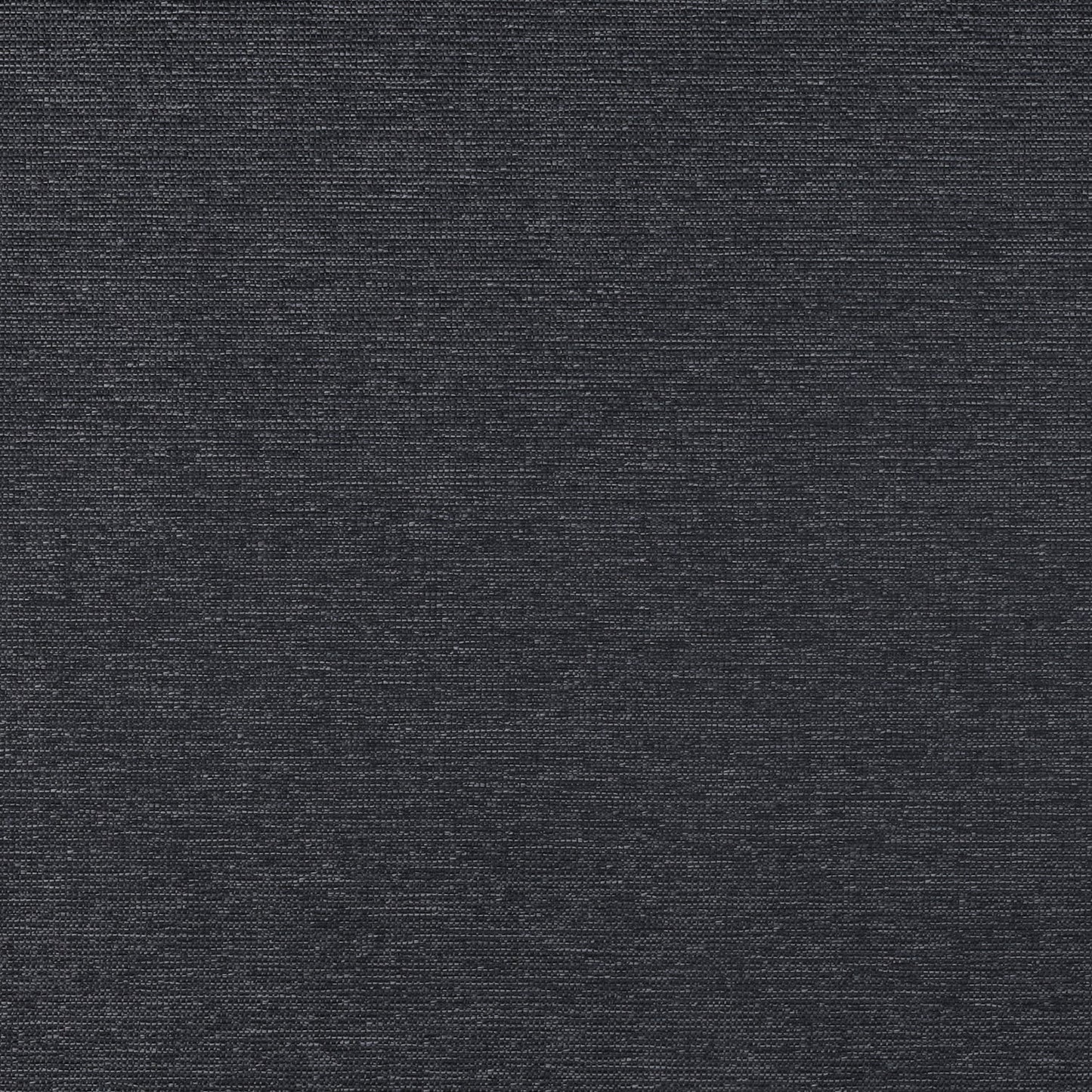 Eclipse | Raven Black