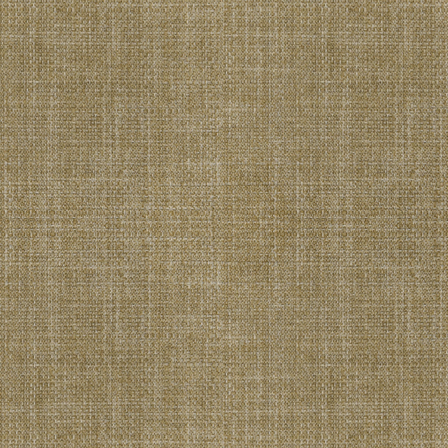 Vigor | Wheat